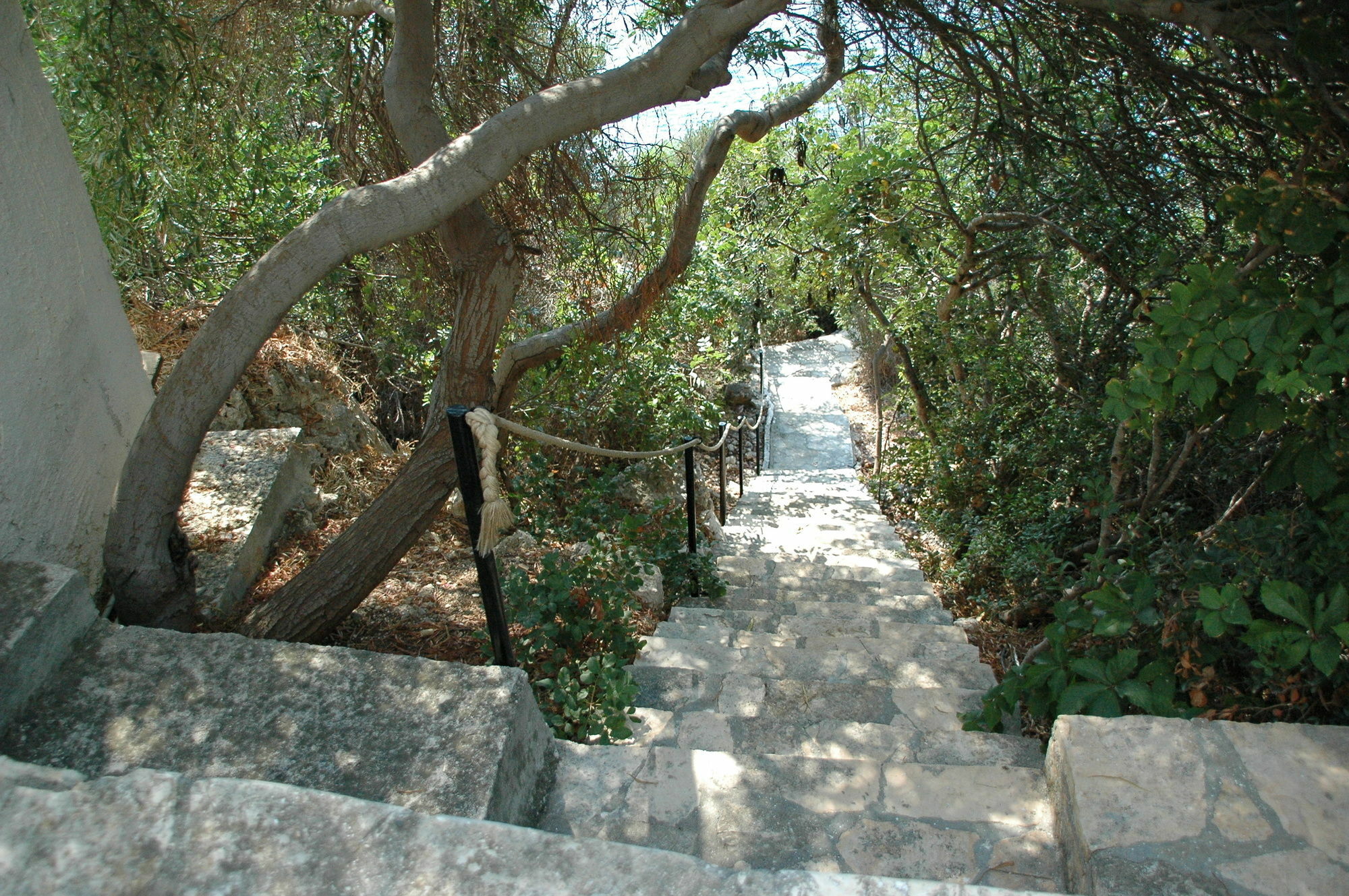 Arpia Hotel Kaş Exteriör bild